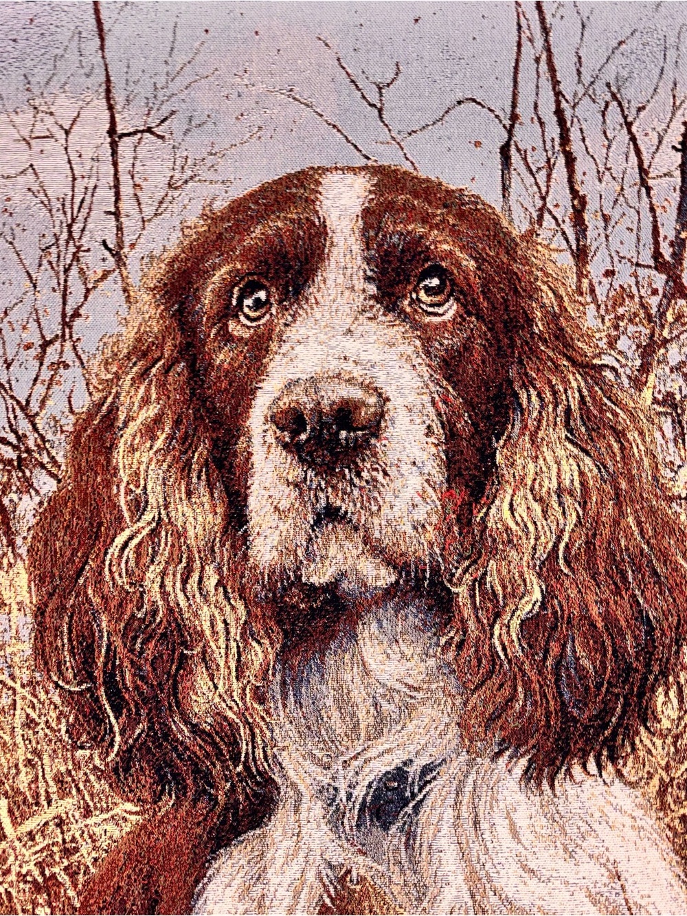 Jim Killen Springer Spaniel Tapestry Fringe Blanket Dog Lover 48x64